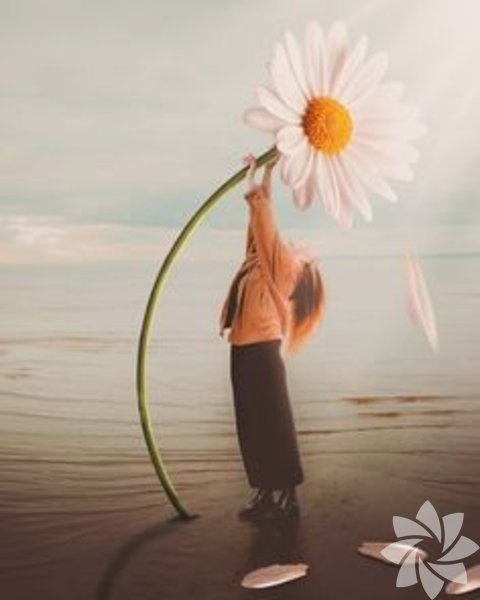 Maya Angelou’dan kız çocukları için ilham veren sözler