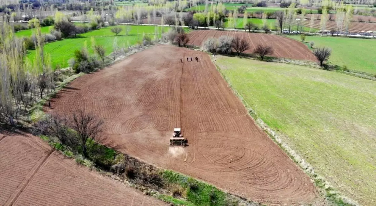 Tarım Girdi Fiyatları Arttı