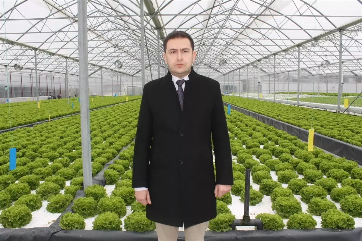 Bafra Sera OSB’de Üretim Başladı