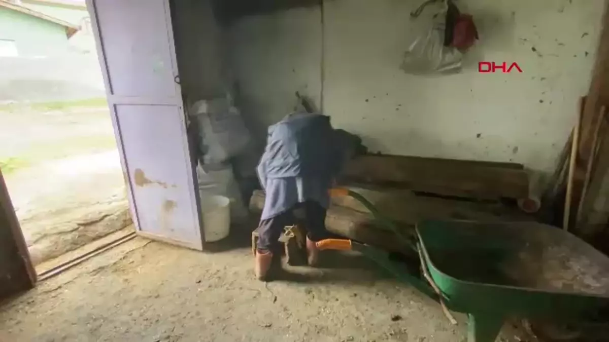 Sanayi ve Teknoloji Bakanı’ndan Hayvancılık Yapan Kadına Destek